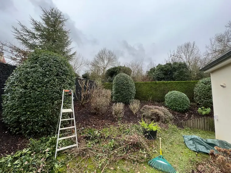 Massifs taillés en fin de chantier, échelle et bâche encore en place, coupes au sol