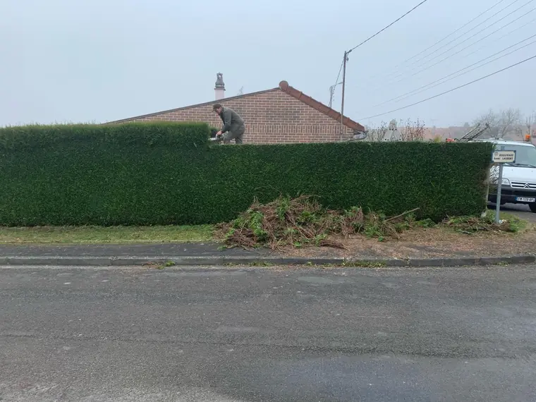 Intervenant taillant le dessus d'une haie le long d'une route, coupes au sol