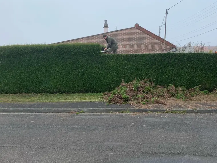 Intervenant taillant le dessus d'une haie de conifères le long d'une rue, tas de coupes au pied